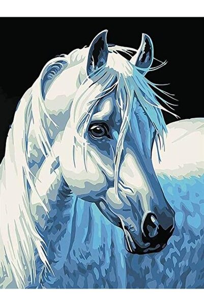 wombhobby Beyaz At Sayılarla Boyama Seti 40x 50 Cm (TUVALE GERİLİ)