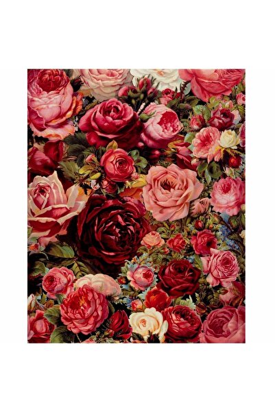 wombhobby Kırmızı Güller Sayılarla Boyama Seti 40x50 Çerçeveli (Kasnağa ) Gerili