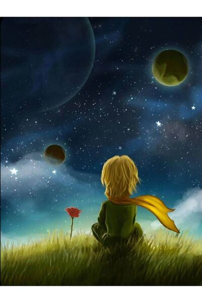 wombhobby Küçük Prens Sayılarla Boyama Seti 50x65 Cm Çerçeveli (Kasnağa ) Gerili