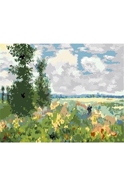wombhobby Monet Haşhaş Bahçesi Sayılarla Boyama Seti 60x75 Cm Çerçeveli (Kasn...
