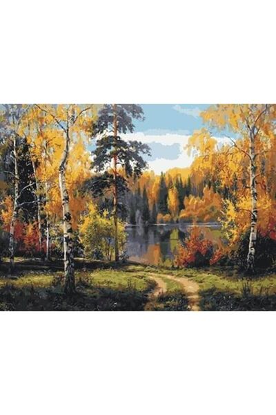 wombhobby Gölet Manzarası Sayılarla Boyama Seti 40x50 Cm Çerçeveli (Kasnağa )...