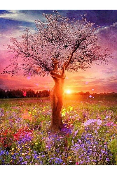 wombhobby Doğa Ana Sayılarla Boyama Seti 50x65 Cm (tuvale Gerili)