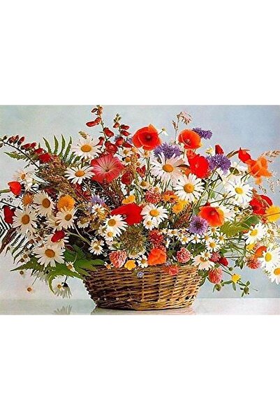wombhobby Çiçek Sepeti Sayılarla Boyama Seti 40x 50 Cm (TUVAL ŞASESİNE GERİLİ)