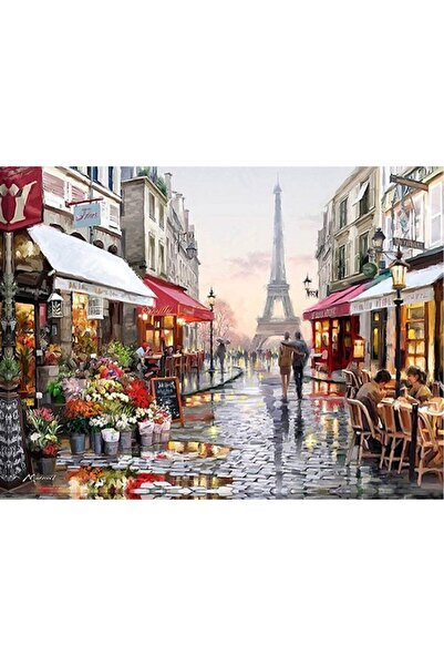 wombhobby Paris Sayılarla Boyama Seti 40x50 Cm (TUVALE GERİLİ)