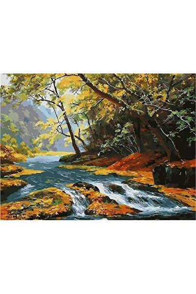 wombhobby Dere Yatağı Sayılarla Boyama Seti(40x50 Cm Tuval Şasesine Gerili)