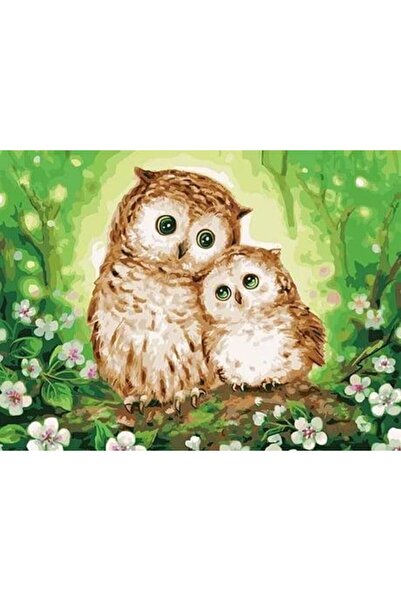 wombhobby Şirin Baykuşlar Sayılarla Boyama Seti 40x50 Cm Çerçeveli (Kasnağa )...