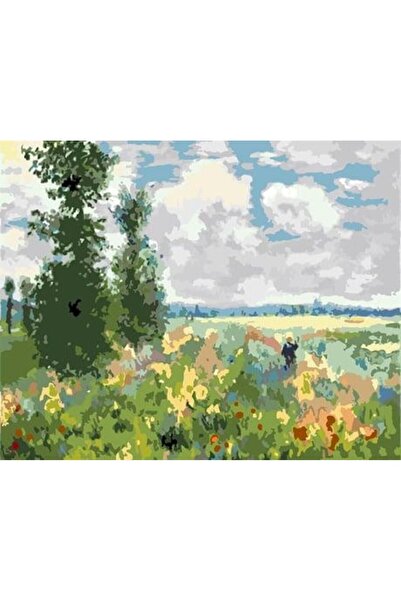 wombhobby Monet Haşhaş Bahçesi Sayılarla Boyama Seti 40x50 Çerçeveli (Kasnağa...