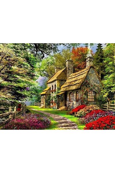 wombhobby Ormandaki Ev Sayılarla Boyama Seti 40x50 Çerçeveli (Kasnağa ) Gerili