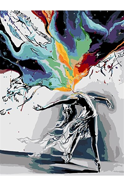 wombhobby Renk Çıkışı Sayılarla Boyama Seti 50x65 Cm Çerçeveli (Kasnağa ) Gerili