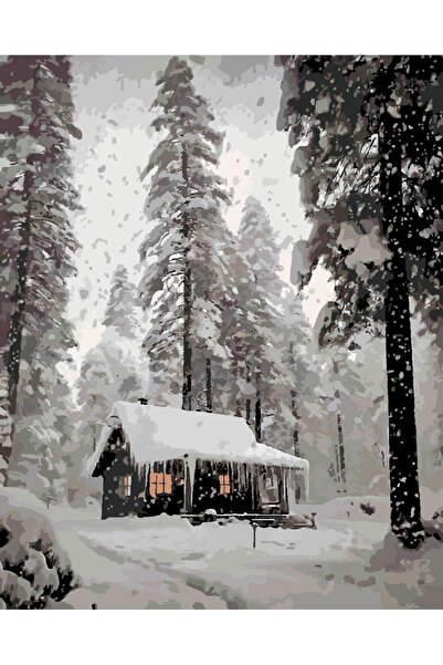 wombhobby Kış Orman Sayılarla Boyama Seti 40x50 cm (Tuvale Gerili)