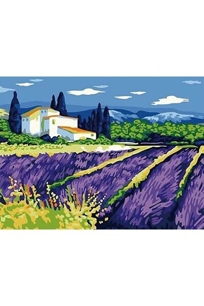 wombhobby Van Gogh Lavanta Tarlası Sayılarla Boyama Seti(40X50 CM TUVAL ŞASES...