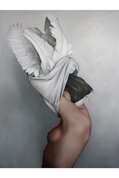 wombhobby Soyunmak Sayılarla Boyama Seti 40x50 Cm (tuvale Gerili)