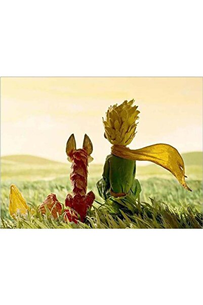 wombhobby Küçük Prens Ve Tilki Sayılarla Boyama Seti 40x50 Çerçeveli (Kasnağa...