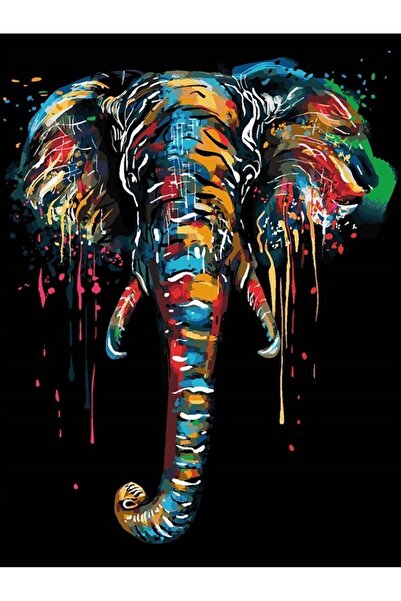 wombhobby Fil Dişi Sayılarla Boyama Seti 40x 50 Cm (TUVALE GERİLİ)