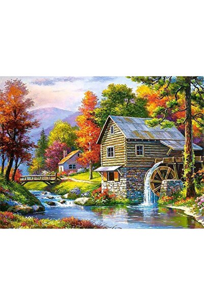 wombhobby Ormanda Yaşam Sayılarla Boyama Seti 40x50 Çerçeveli (Kasnağa ) Gerili