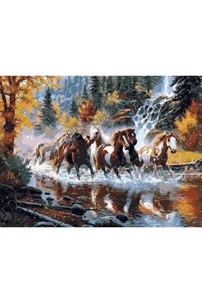 wombhobby Nehirde Atlar 2 Sayılarla Boyama Seti 40x50 Çerçeveli (Kasnağa ) Ge...