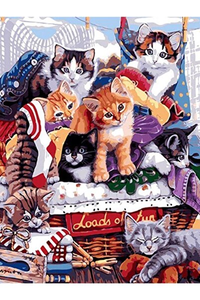 wombhobby Mırmırlar Sayılarla Boyama Seti 40x50 Cm (tuvale Gerili)