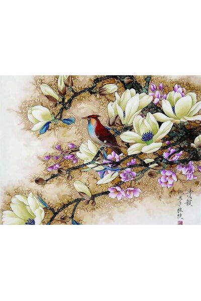 wombhobby Beyaz Çiçekler Ve Kuş Sayılarla Boyama Seti 40x50 Çerçeveli (Kasnağ...