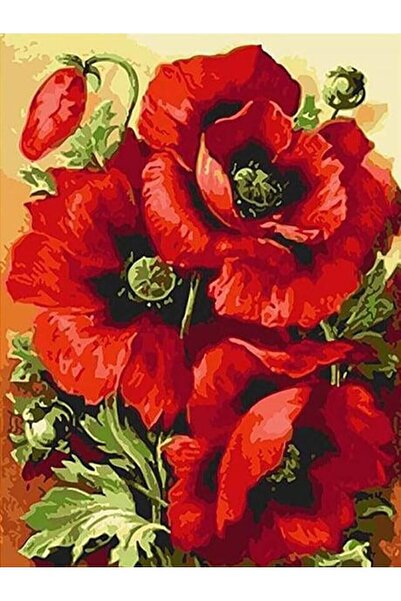 wombhobby Gelincik 2 Sayılarla Boyama Seti 40x 50 Cm (TUVALE GERİLİ)