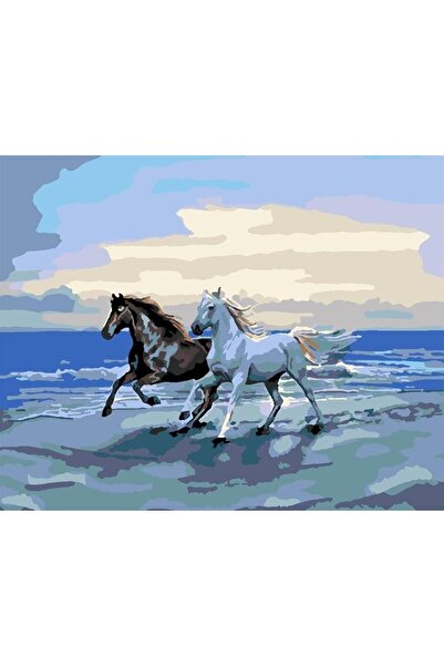 wombhobby Mavideki Atlar Sayılarla Boyama Seti 40x50 Cm (TUVALE GERİLİ)