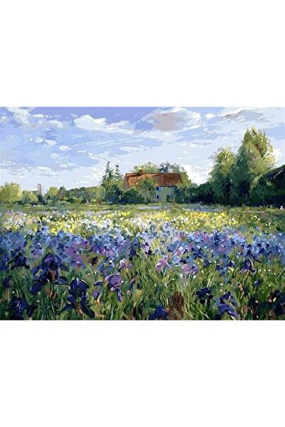 wombhobby Lavanta Bahçesi Sayılarla Boyama Seti 60x75 Cm Çerçevesiz RULO ( Ka...