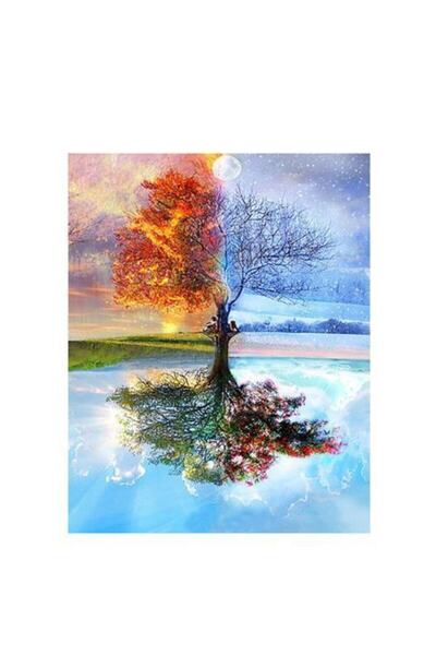 wombhobby Ağaç Sayılarla Boyama Seti 60x75 Cm (Tuvale Gerili)