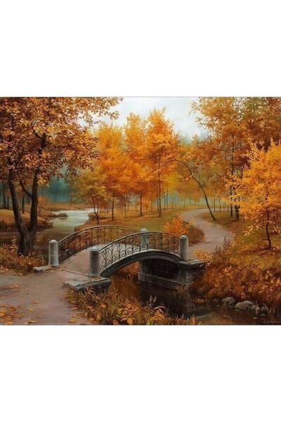 wombhobby Sis Sayılarla Sayılarla Boyama Seti 40x50 Cm Çerçevesiz RULO ( Kasn...