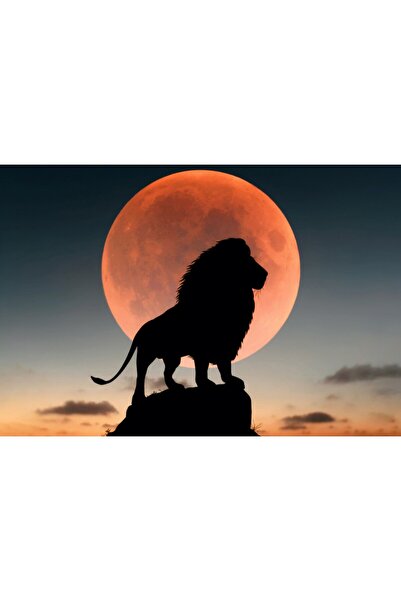 OEM Poster Lion King, 61x90cm, poster770, Zumzeria