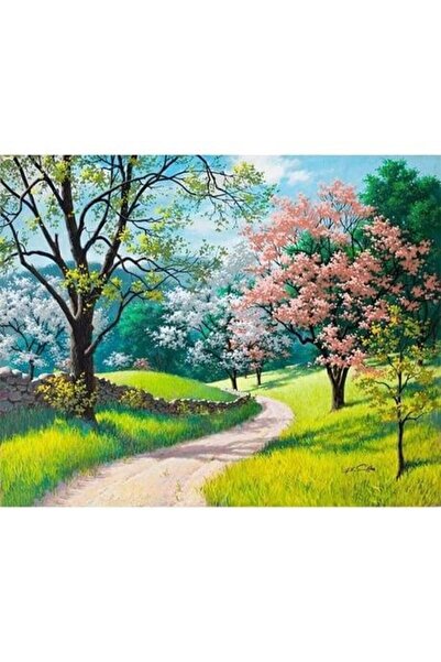 wombhobby Yürüyüş Yolu Sayılarla Boyama Seti  Çerçevesiz Rulo 60x75