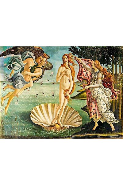 wombhobby Venüsün Doğumu Sayılarla Boyama Seti 50x65 cm Çerçevesiz RULO ( Kas...