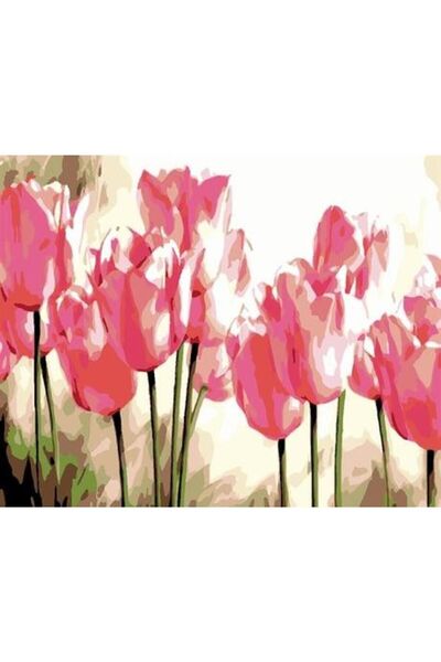 wombhobby Pembe Laleler Sayılarla Boyama Seti 40x50 Cm Çerçevesiz RULO ( Kasn...