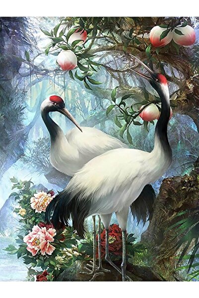 wombhobby Kuş Cenneti Sayılarla Boyama Seti 40x50 Cm Çerçevesiz RULO ( Kasnak...