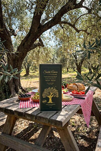 Sadık Amca Erken Hasat Soğuk Sıkım Natürel Sızma Zeytinyağı 5 Lt. Özel Tasarı...