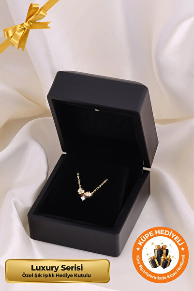 Lucente Jewellery Luxury Serisi Işıklı Hediye Kutulu 925 Ayar Altın Gümüş Kap...