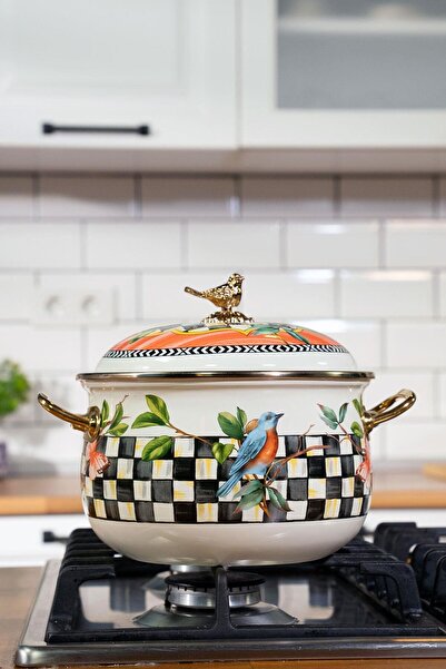 Miss Betty وعاء طهي مطلي بالمينا 20 سم بارادايس MİSS-9381-06