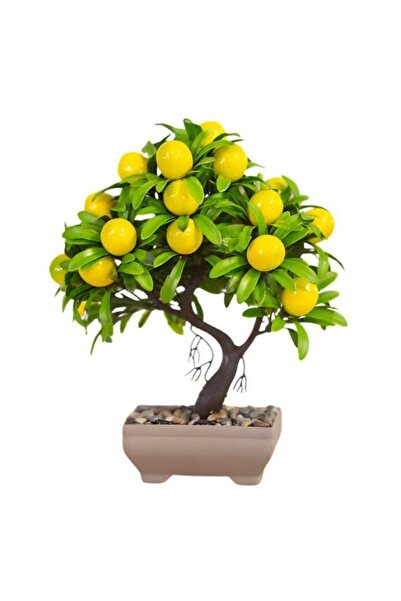 Mercaton Planta Artificiala Mercaton, In Ghiveci, Model Lamai