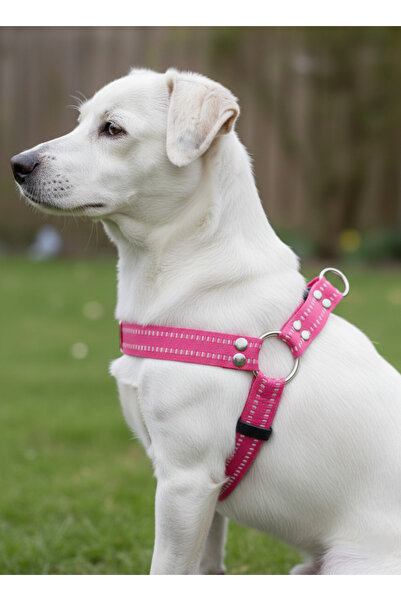 balkonda طوق للكلاب مناسب للسلالات الصغيرة والمتوسطة والكبيرة، حبل قابل للتعديل باللون الوردي
