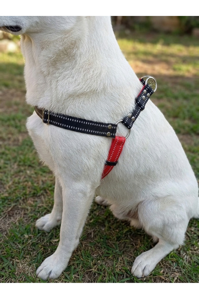 balkonda Dog Collar Medium and Large Breed Adjustable Column Cord Pink and Black