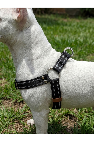 balkonda طوق للكلاب مناسب للسلالات الصغيرة والمتوسطة والكبيرة، حبل قابل للتعد...