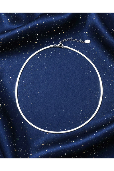 La Clarte قلادة نسائية من الفولاذ الإيطالي المقاوم للتلطيخ باللون الفضي - نمو...