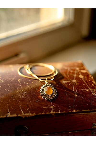 ayoljewelry Gold Steel Necklace with Brown Solitaire Detail