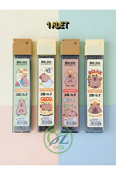 ÖZ OFİS Capybara Kapibara 100'lü 0.7 2B Büyük Boy Kalem Ucu Tekli