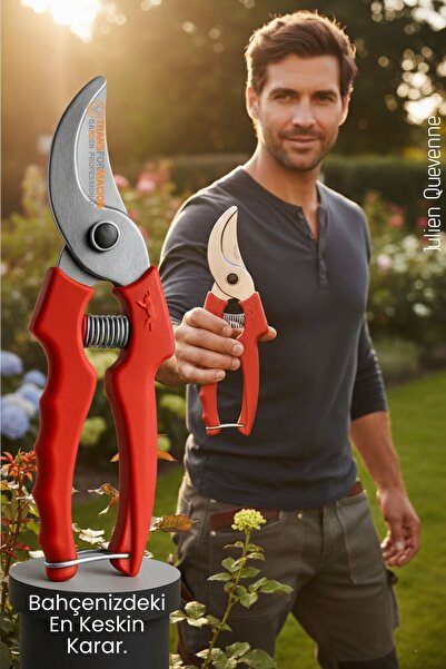 Transformacion 720989 Μοντέλο Δέντρο Φυτό Λουλούδι Κλαδευτήρια Κλαδευτήρια