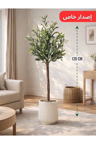 CENTRHOME شجرة زيتون بطول 120 سم بمركن مُقلم ( إصدار جديد )