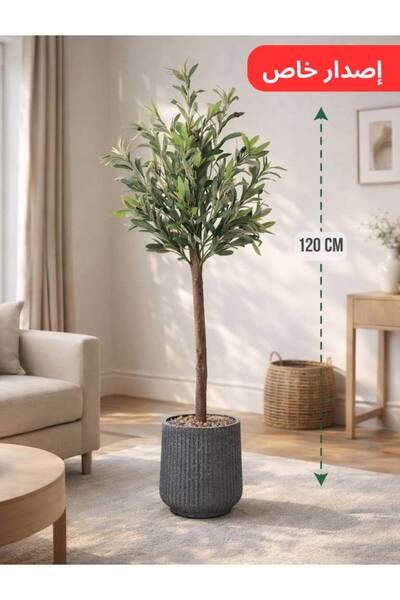 MG شجرة زيتون بطول 120 سم بمركن مُقلم ( إصدار جديد )