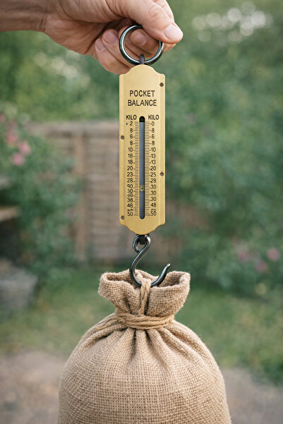 Boldy Cantar analogic pentru bagaje - Cantar mecanic pentru bagaje - Cantar pentru valiză - Cantar mecanic de mână - Cantar de bucătărie