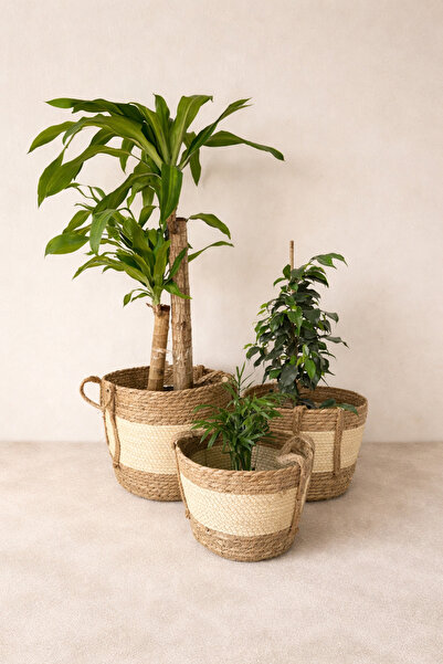 KaiHome Бежевий 3-секційний плетений кошик - декоративний, багатофункціональний, для квітів та організації