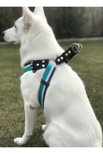 balkonda طوق للكلاب من فصيلة متوسطة وكبيرة الحجم، حبل قابل للتعديل باللون الف...