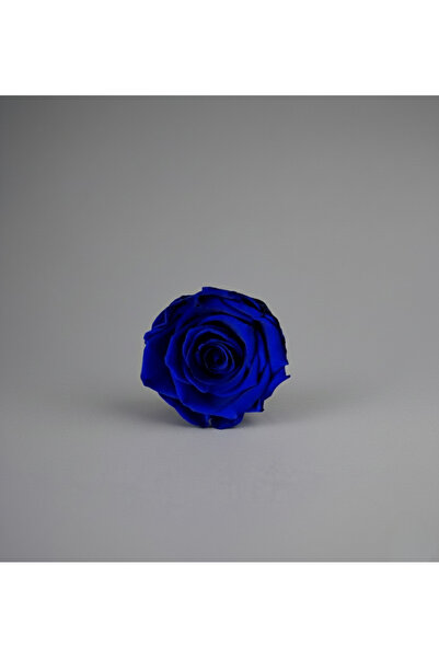 ABROZ HOME DESIGN وردة مصابة بالصدمات غير باهتة / أزرق داكن