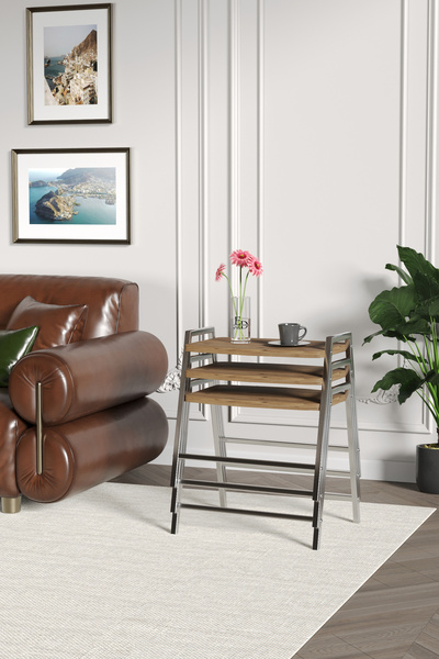 ED Efelez Design Zigon Sehpa , Aden 3'lü Tepsi Zigon Sehpa Takımı Gümüş Metal...